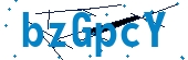 recaptcha