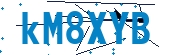 recaptcha