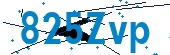 recaptcha