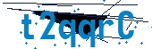 recaptcha